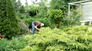 1Уборка участка 1